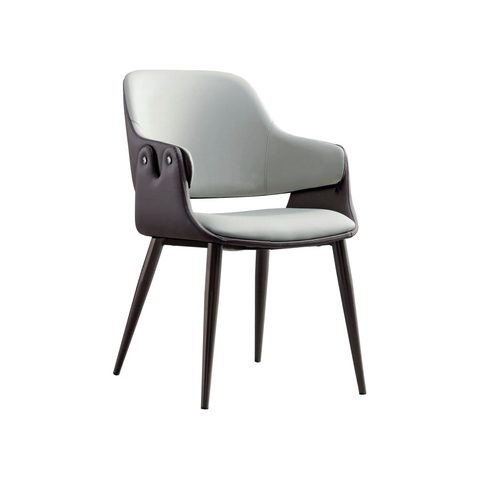 Dining Chair VZ-1069