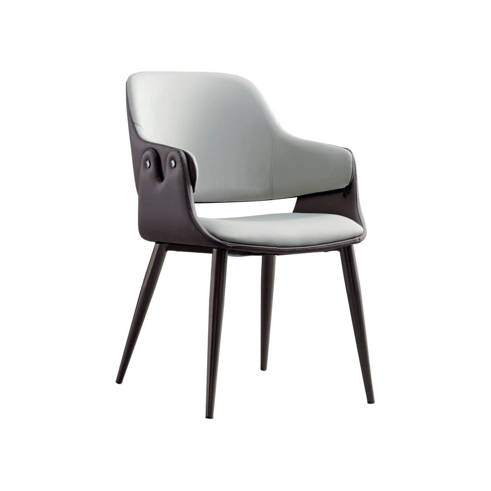 Dining Chair VZ-1069 — Dining Chairs, wholesale from ALBAHAUS