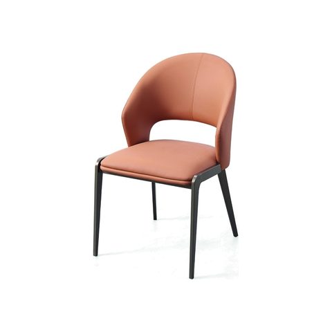 Dining Chair VZ-1088 — Dining Chairs view 3