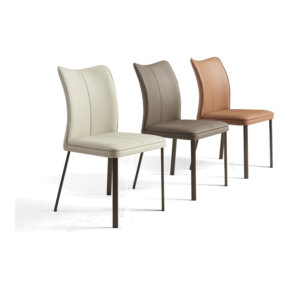 Dining Chair VZ-1094 — Dining Chairs, wholesale from ALBAHAUS