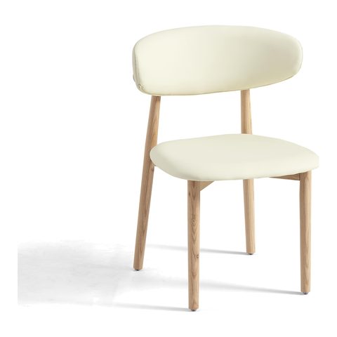 Dining Chair VZ-1102