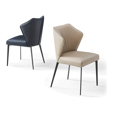 Dining Chair VZ-1109