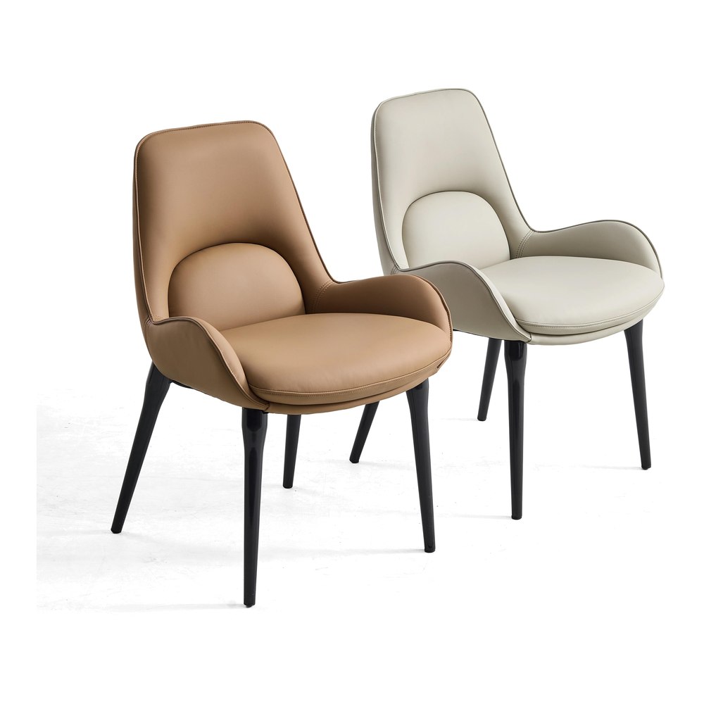 Dining Chair VZ-1120 — Dining Chairs, wholesale from ALBAHAUS