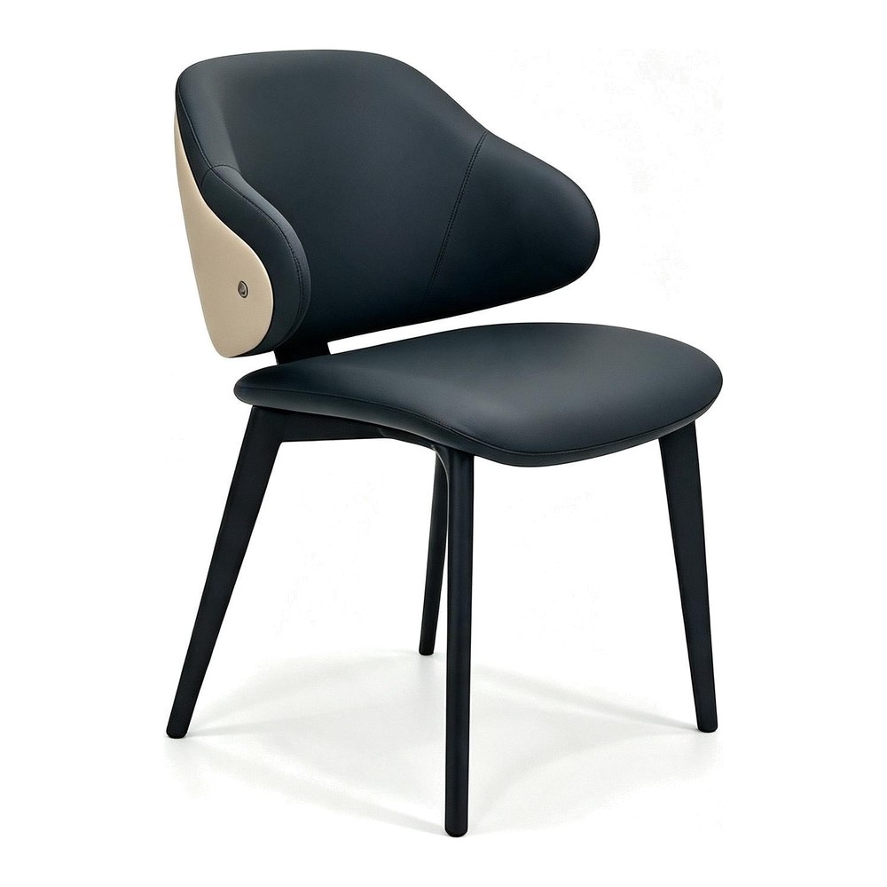 Dining Chair VZ-1131 — Dining Chairs, wholesale from ALBAHAUS