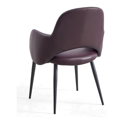 Dining Chair VZ-1146 — Dining Chairs view 2