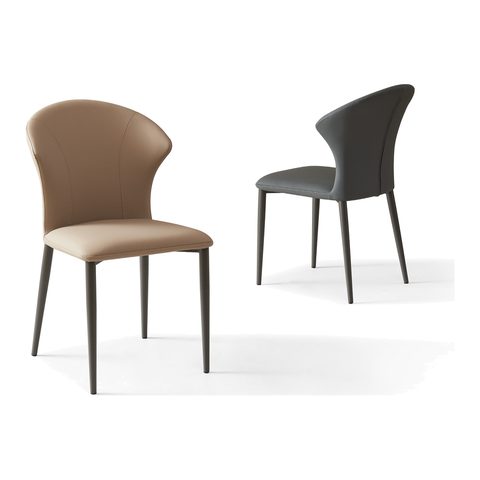 Dining Chair VZ-1147 — Dining Chairs view 2