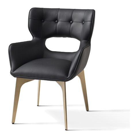 Dining Chair VZ-1176