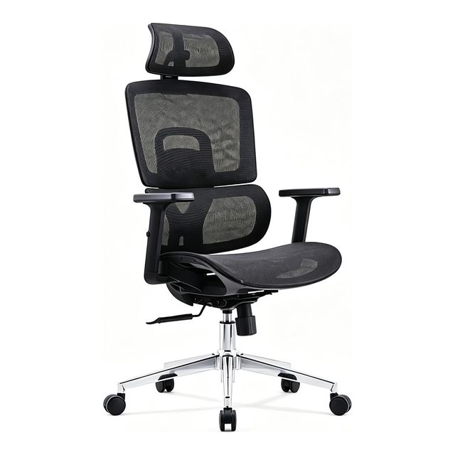 Ergonomic Chairs VZ-179