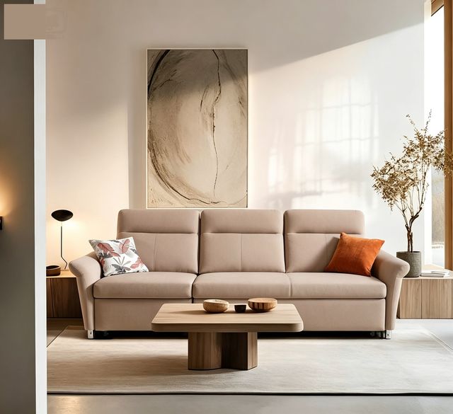 Sofa Beds VZ-913